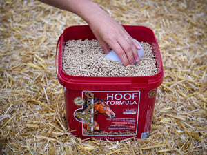 KEVIN BACON’S Hoefformule