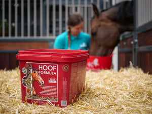 KEVIN BACON’S Hoefformule