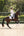 Charm Competition Wear Dressage Pad