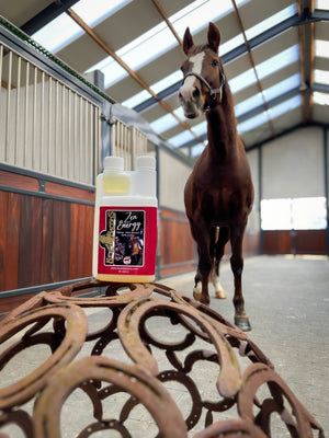 KEVIN BACON’S Zen Energy