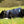 Harnais pour chien Cool on Track