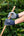 Gants de travail LeMieux - Bleu marine - mise en situation