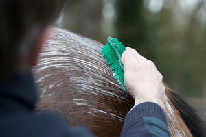Brosse Hippo LeMieux verte