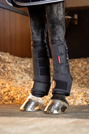 Guêtres d'Écurie LeMieux Stable - Noir - lifestyle