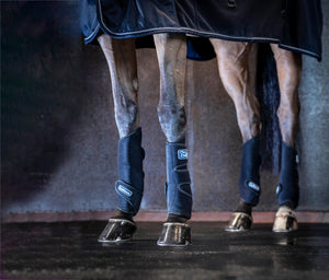 Guêtres de Tendon Rafraîchissantes LeMieux Tendon Chill - Noir - lifestyle