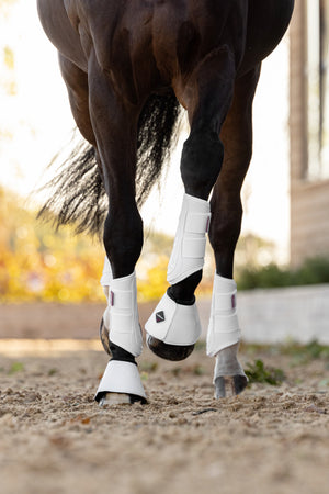 Guêtres de Protection LeMieux ProShell - Blanc - lifestyle