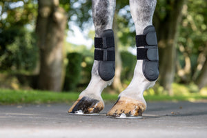 Guêtres de Tendon en Cuir LeMieux Capella - Noir - lifestyle