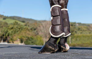 Guêtres de Tendon en Cuir LeMieux Capella Comfort - Marron - lifestyle