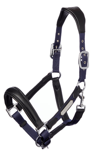 Licol Capella LeMieux - Bleu marine - photo produit