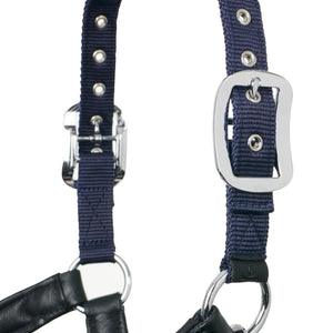 Licol Capella LeMieux, coloris Navy, détail