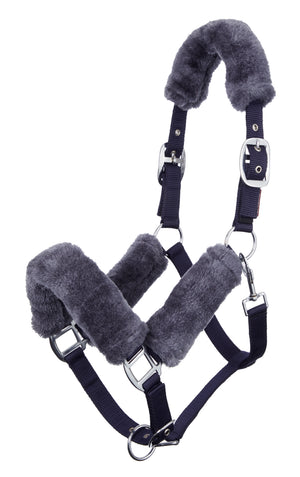Licol Comfort LeMieux - photo produit