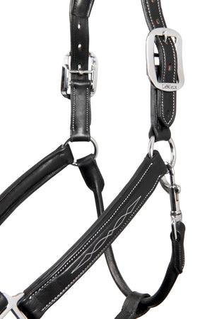 Licol en cuir piqué LeMieux, coloris Black, détail