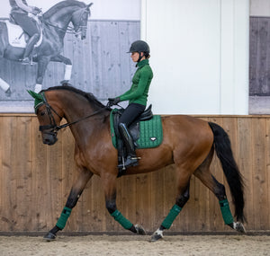 Tapis LeMieux Loire Dressage, coloris Hunter green, en situation
