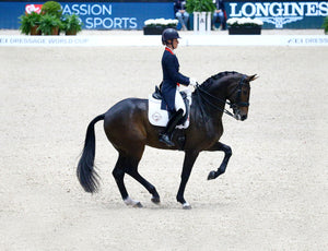 Tapis de selle dressage coton Competition blanc, coloris Blanc, en situation