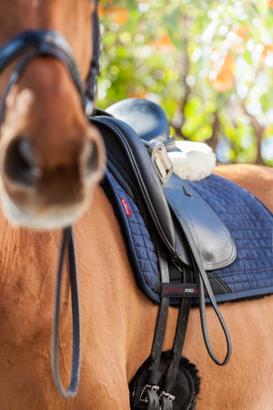 Tapis de Dressage LeMieux Sensitive, coloris Navy, en situation