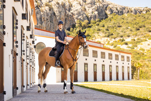 Tapis de CSO LeMieux EuroJump Suédine - Noir - lifestyle
