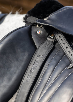 Étrivières Vector Pro LeMieux - Noir - lifestyle