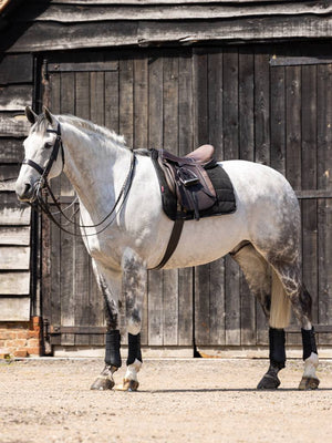Tapis de Dressage LeMieux Work Pad - Noir - lifestyle