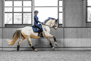Tapis de Dressage LeMieux Work Pad - Bleu Marine - lifestyle