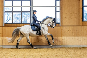 Tapis de Dressage LeMieux Work Pad - Bleu Marine - lifestyle