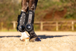 Guêtres de Tendon LeMieux Derby ProJump - Noir - lifestyle
