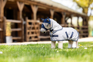 Couverture Anti-Mouches Toy Pony LeMieux, coloris Grey/Navy, en situation