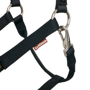 Licol de sécurité Break Away LeMieux, coloris Black, détail