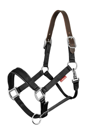 Licol de sécurité Break Away LeMieux, coloris Black, vue produit