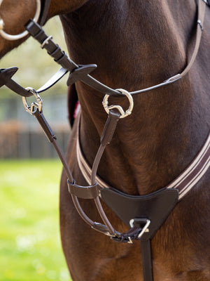 Attache de Martingale Élastique LeMieux - Brown/Silver - mise en situation