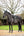 Tapis de CSO LeMieux EuroJump Suédine Merino+ - Noir/Naturel - lifestyle