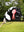 Jeu de Rosettes Hobby Horse LeMieux — Multi
