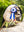 Jeu de Rosettes Hobby Horse LeMieux — Multi