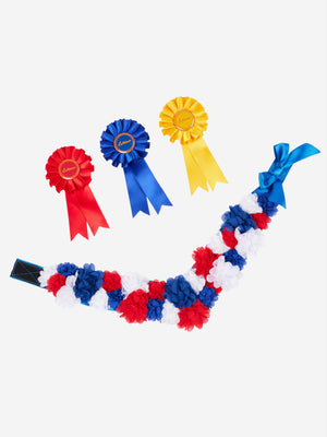 Lot de Rosettes Toy Pony LeMieux, coloris Multi, vue produit