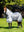 Chemise anti-mouches LeMieux Kudos AeroGuard
