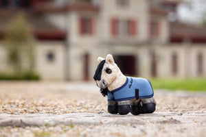 Tiny Pony LeMieux — Dream