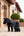 Tiny Pony LeMieux — Skye