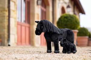 Tiny Pony LeMieux — Skye