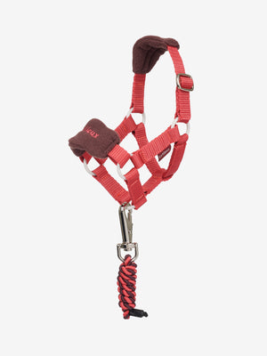 Licol et Longe Vogue Toy Pony LeMieux Duo, coloris Cranberry, vue produit