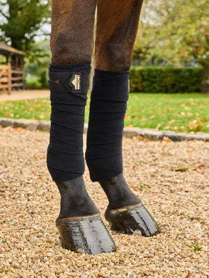 Bandes de polo LeMieux Elevate — Noir