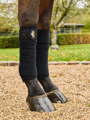 Bandes de polo LeMieux Elevate — Noir