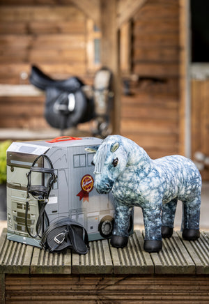 Toy Pony Sammy, en situation