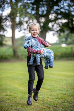 Toy Pony Sammy, en situation