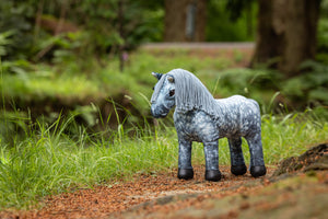Toy Pony Sammy, en situation