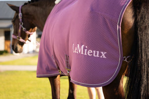 Chemise séchante LeMieux Kudos Bambou — Mauve