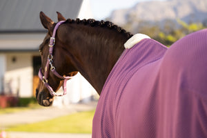 Chemise séchante LeMieux Kudos Bambou — Mauve