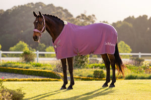 Chemise séchante LeMieux Kudos Bambou — Mauve
