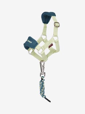Longe et Licol Vogue Toy Pony LeMieux