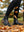 Bottes Chelsea Bramshaw LeMieux — Noir