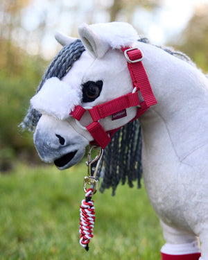 Longe et Licol de Noël Toy Pony LeMieux