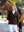 Veste de Concours Brilliance Diana LeMieux - Expresso - mise en situation